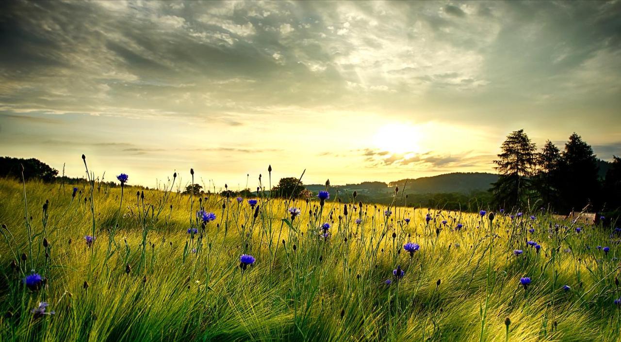 Wohlfuehlherberge Weitblick Erlbach  外观 照片