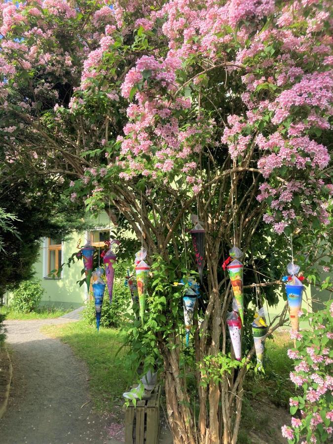 Wohlfuehlherberge Weitblick Erlbach  外观 照片